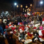 Εντυπωσιακές εκδηλώσεις σε Πολύγυρο, Ορμύλια και Παλαιόχωρα για το άναμμα των Χριστουγεννιάτικων δέντρων