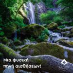 Ιαματικός Τουρισμός στις πηγές των Διουμπιών