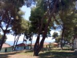 Ανοίγει η κατασκήνωση της Μεταμόρφωσης από την 1η Αυγούστου!