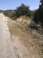 Καθαρισμός δρόμου Ορμύλιας-Βραστάμων
