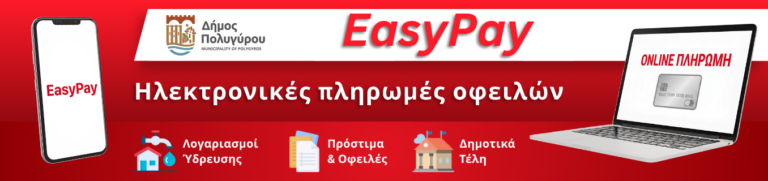 Banner Easy Pay